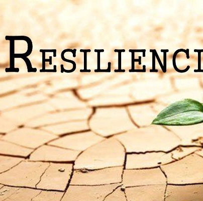 resiliencia